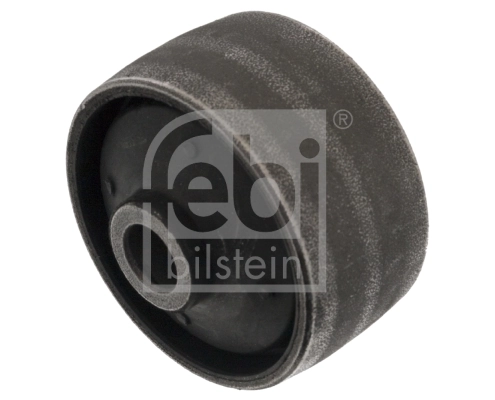 Mounting, control/trailing arm